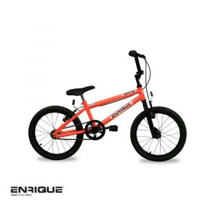 Bicicleta Rodado 16 ENRIQUE ARROW