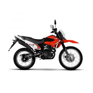 Moto MOTOMEL SKUA 250 BASE Llantas con Rayos